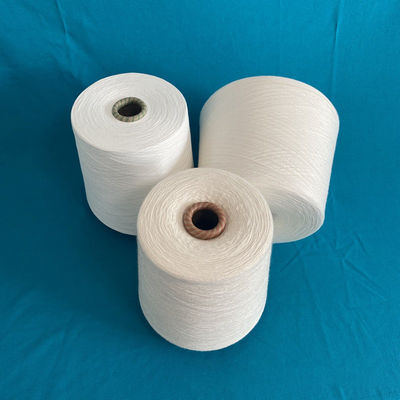 গণনা এবং মূল 30F 30S/2 রায়ন বুনন স্পুন রিং 100% ভিস্কোস রায়ন উচ্চ 120D/2