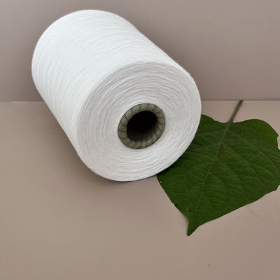 গণনা এবং মূল 30F 30S/2 রায়ন বুনন স্পুন রিং 100% ভিস্কোস রায়ন উচ্চ 120D/2