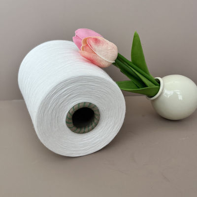 গণনা এবং মূল 30F 30S/2 রায়ন বুনন স্পুন রিং 100% ভিস্কোস রায়ন উচ্চ 120D/2